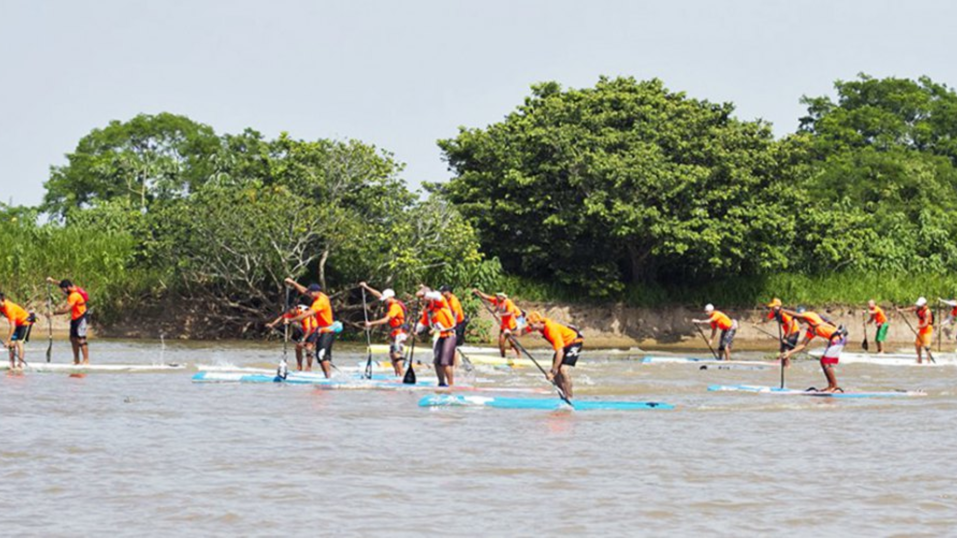 Stand Up Paddle