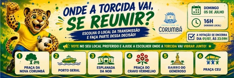 Jogo da Copa 05/07