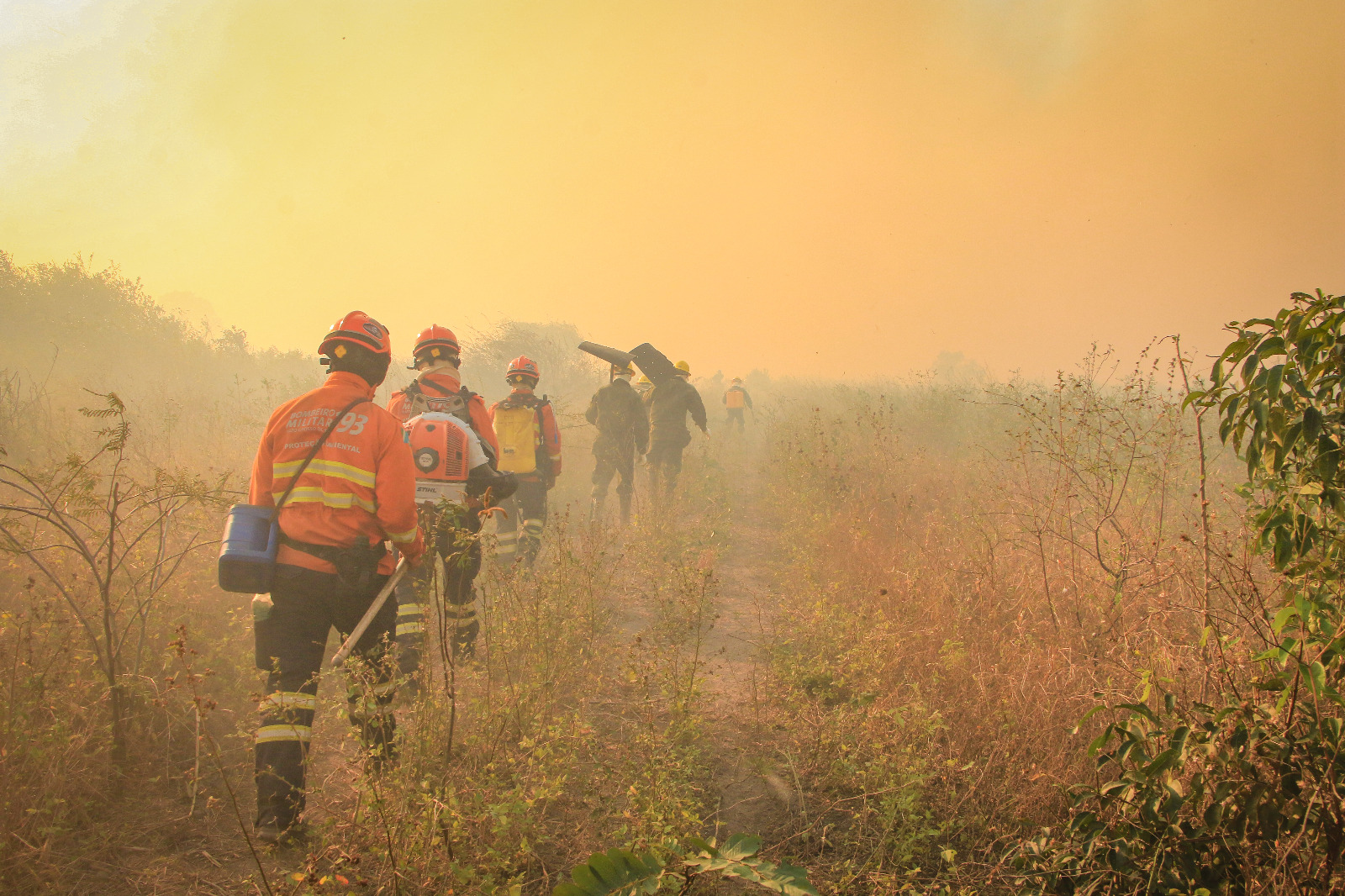 Prefeitura de Corumbá defende ação conjunta para combater incêndios no Pantanal 