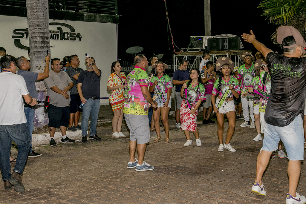 Carnaval: passado ensaio técnico, escolas de samba desfilam dias 02 e 03 de março