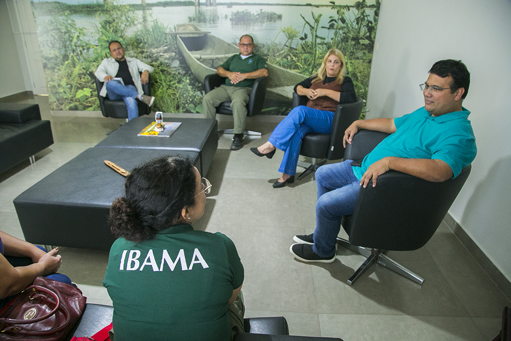 Corumbá articula ações com Ibama para manejo de onças em áreas próximas a residências
