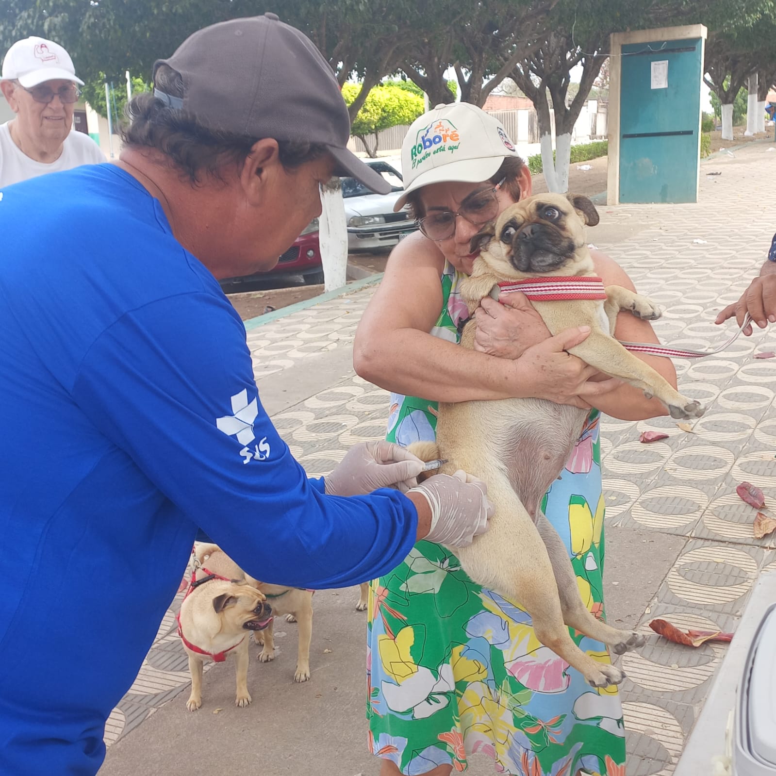 Corumbá realiza vacinação antirrábica neste sábado com oito pontos fixos de atendimento