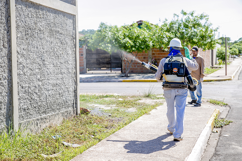 Ações contra a dengue eliminam 348 toneladas de possíveis criadouros do mosquito