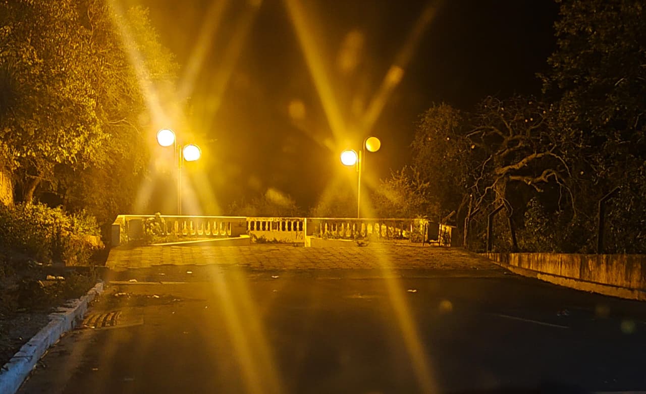 Prefeitura acompanha e reforça ações diante de avistamentos de onça em área urbana