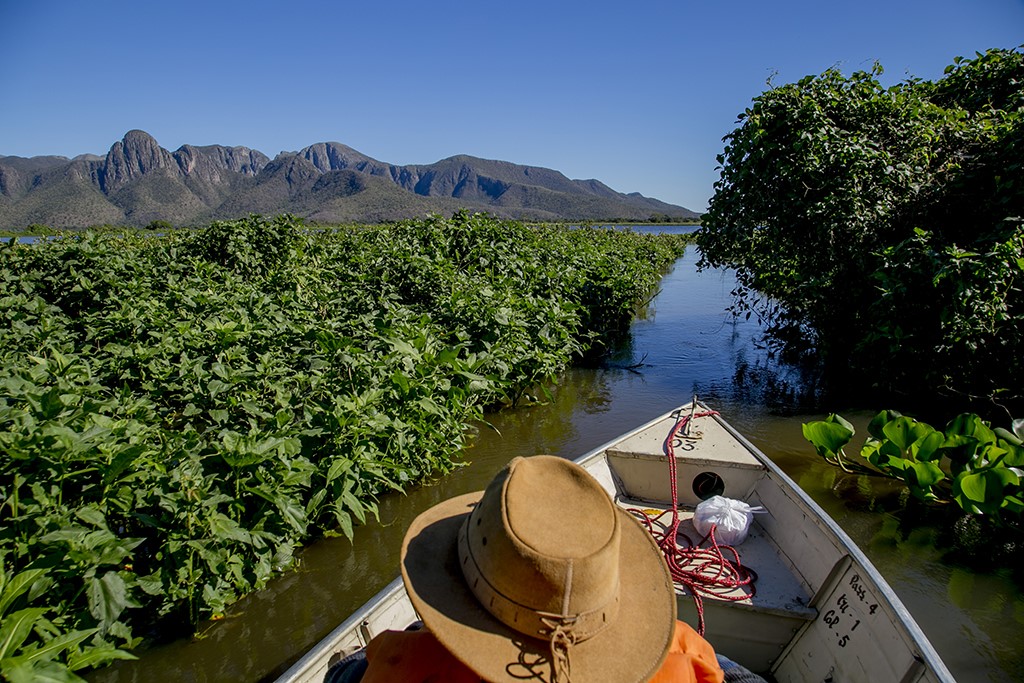 Prefeitura de Corumbá repudia declaração sobre pesca esportiva no Pantanal